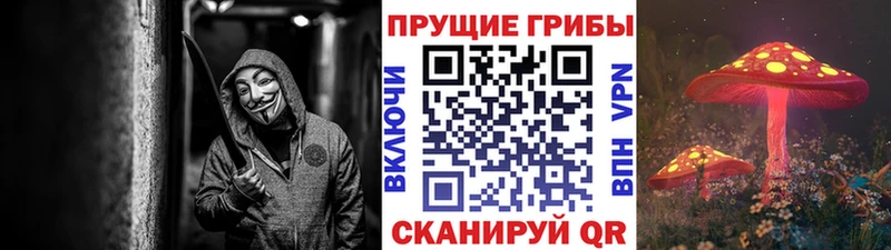 Псилоцибиновые грибы Magic Shrooms  Купить  Усть-Катав 